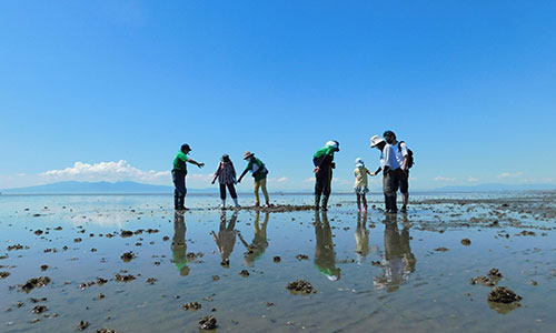 Shellfish-gathering